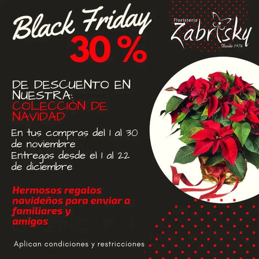 30% OFF EN TODA NUESTRA COLECCIÓN DE NAVIDAD - Floristería Zabrisky