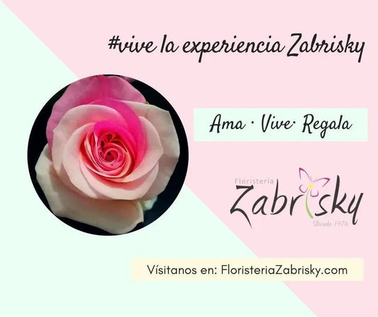 Ama. Vive. Regala - Floristería Zabrisky