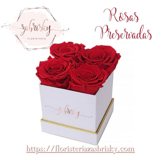 Beauty and Beast Red Rose - Florist in Pereira - Floristería Zabrisky