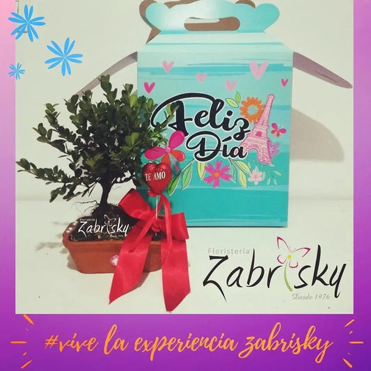 Bonsái - Floristería Zabrisky