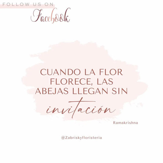 Día del Amor y la Amistad - Floristería Zabrisky en Pereira - Floristería Zabrisky