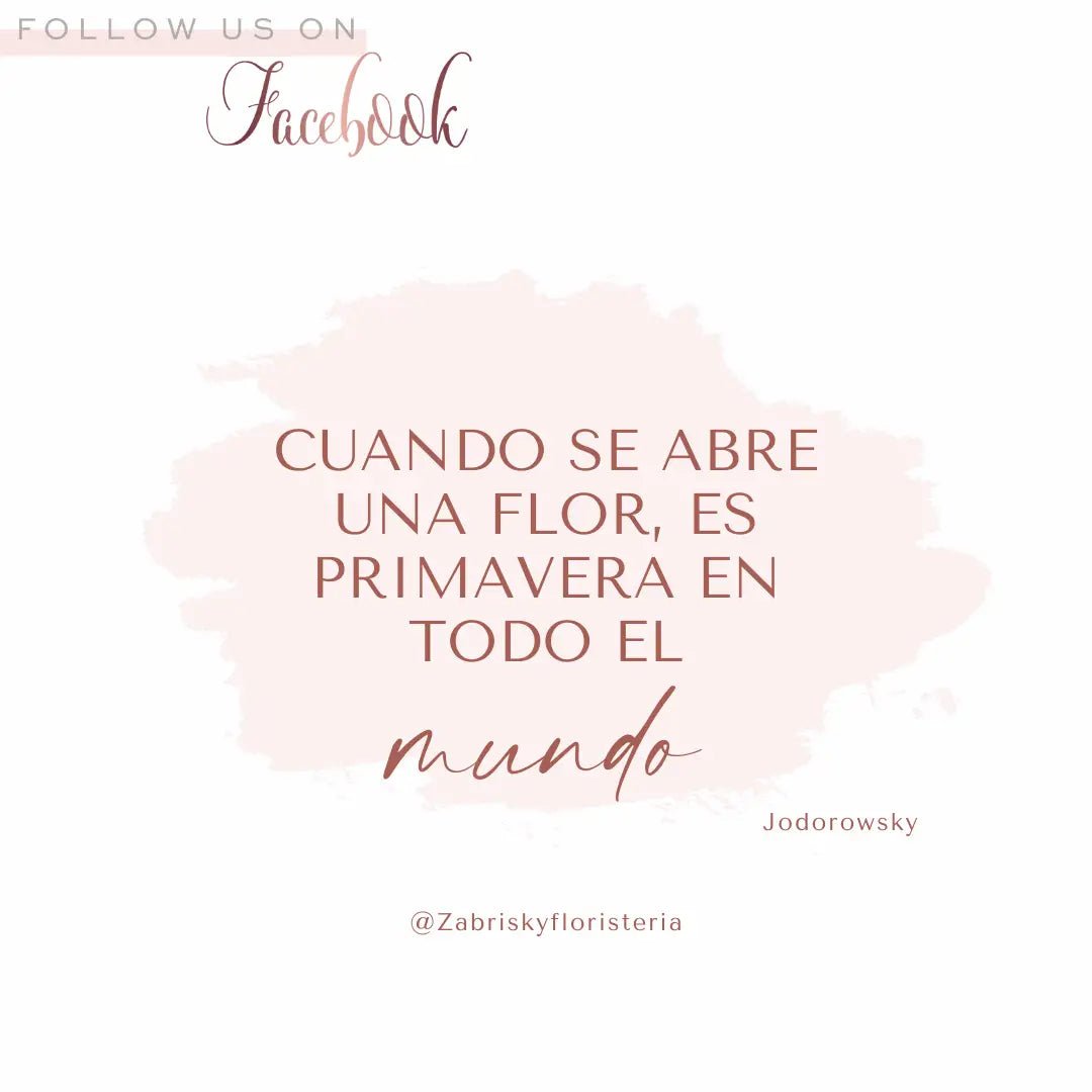 Floristerías en Pereira Amor y Amistad - Floristería Zabrisky
