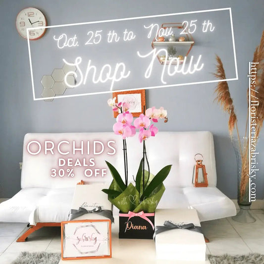 #floristinpereira #Orchids #plants #deals 30% off #blackfriday - Floristería Zabrisky