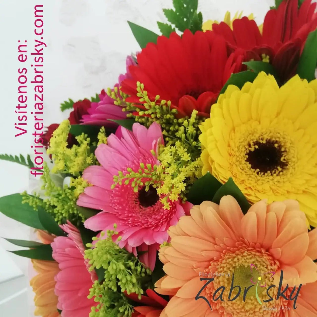 Gerberas Brillantes - Floristería Zabrisky