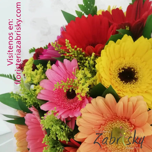 Gerberas Brillantes - Floristería Zabrisky