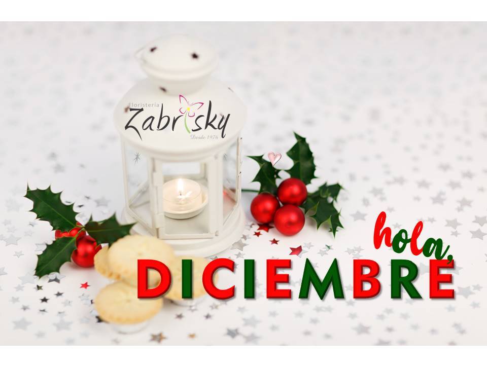 Hola Diciembre - Floristería en Pereira - Floristería Zabrisky