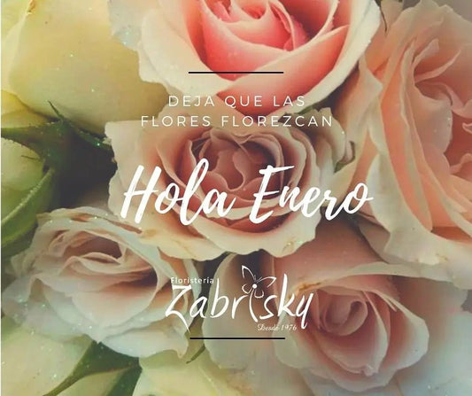 Hola Enero - Floristería Zabrisky