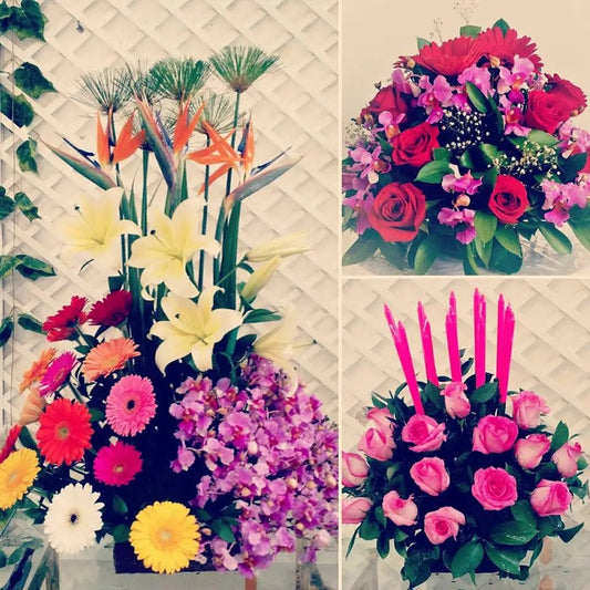 Las Flores y Sus Colores - Floristería Zabrisky