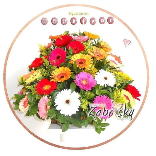 Las gerberas del Amor - Floristería Zabrisky