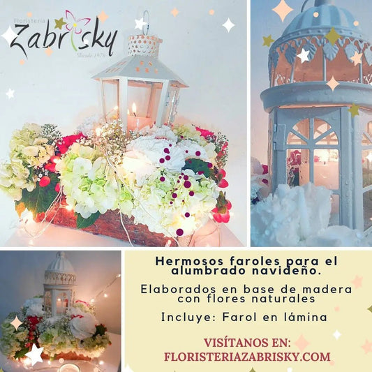 Noviembre - Floristería Zabrisky