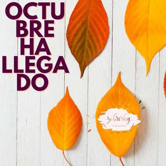 Octubre ha llegado - Floristería Zabrisky