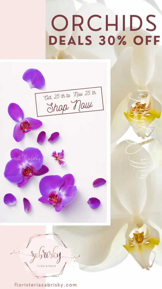 #Orchids #plants #deals 30% off #blackfriday - #Florist in #Pereira - Floristería Zabrisky