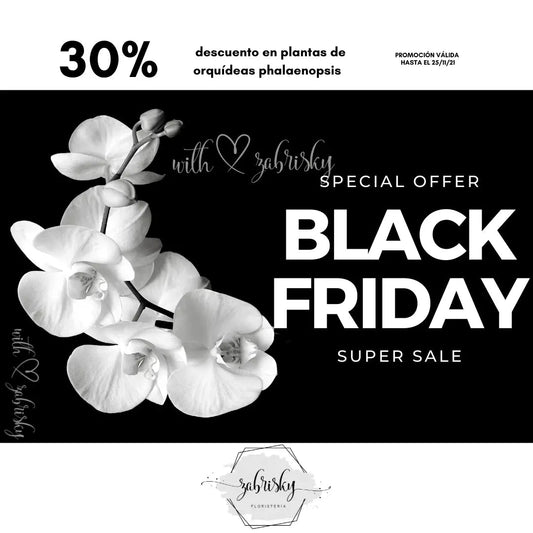 Special Offer Plants Pereira - Floristería Zabrisky