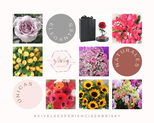 Vive la experiencia Zabrisky - Flores en Pereira - Floristería Zabrisky