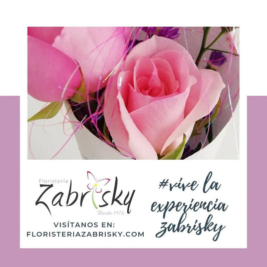 Zabrisky - Floristería Zabrisky
