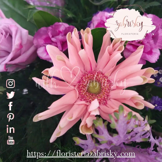Zabrisky Florist - Florists in Pereira - Floristería Zabrisky
