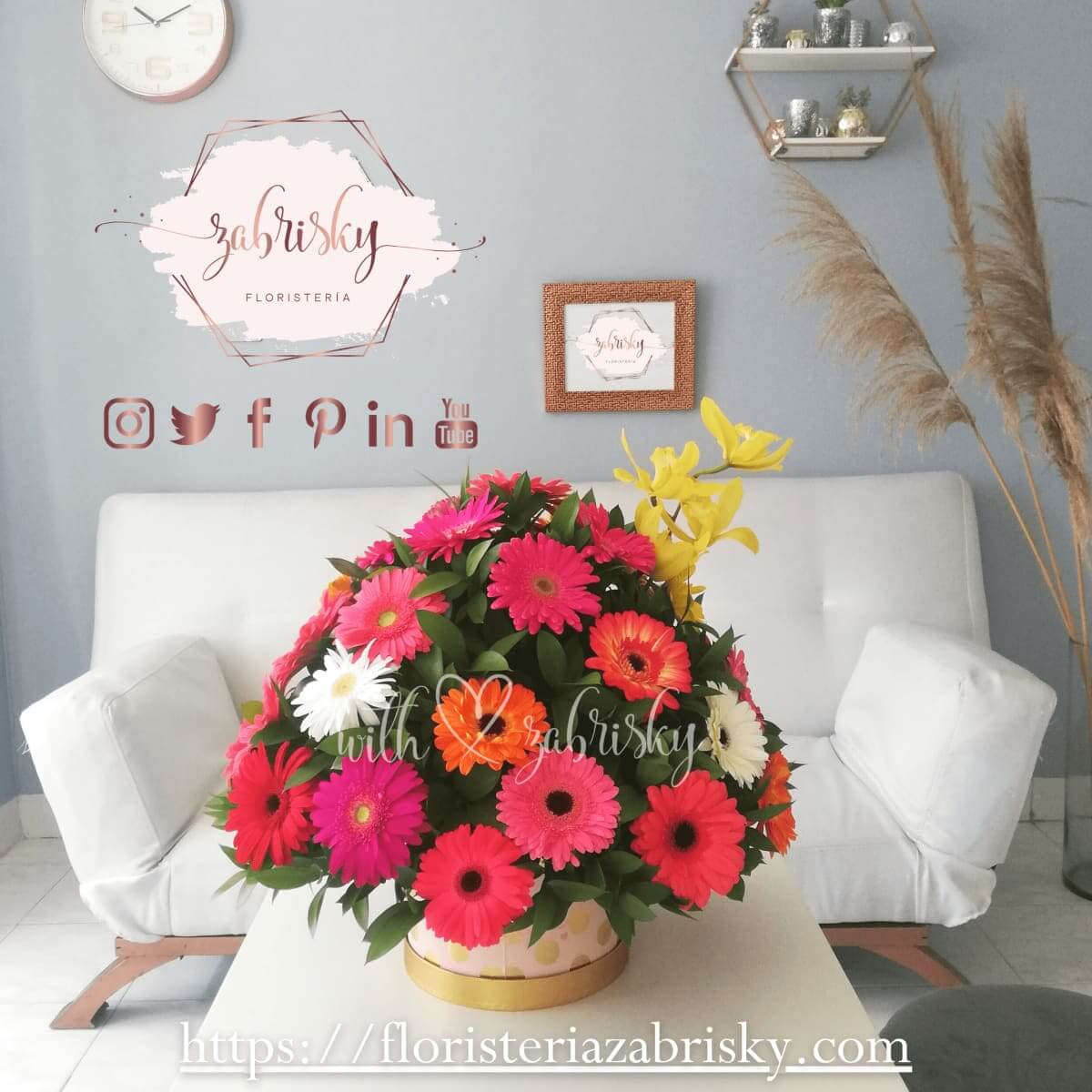 Daisy - Gerberas - Floristería Zabrisky