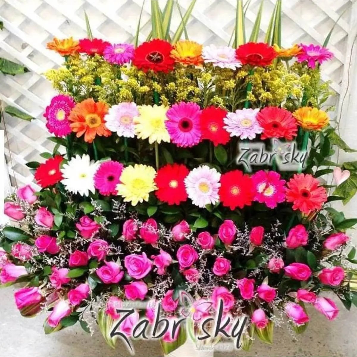 Jardinera Rosas y Gerberas - Floristería Zabrisky