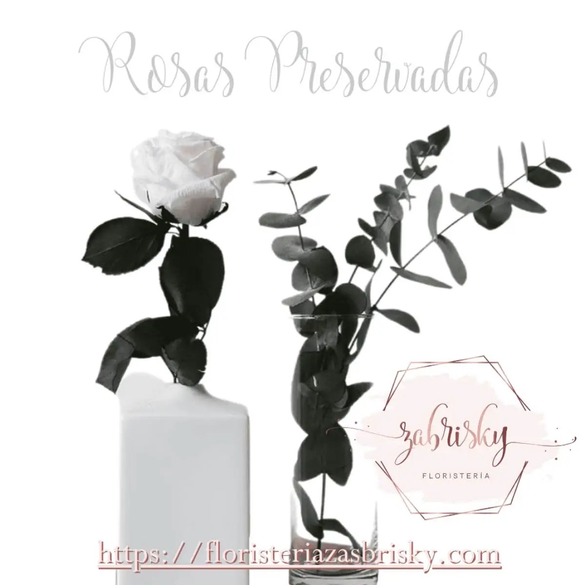 Rosa Preservada en Florero - Floristería Zabrisky