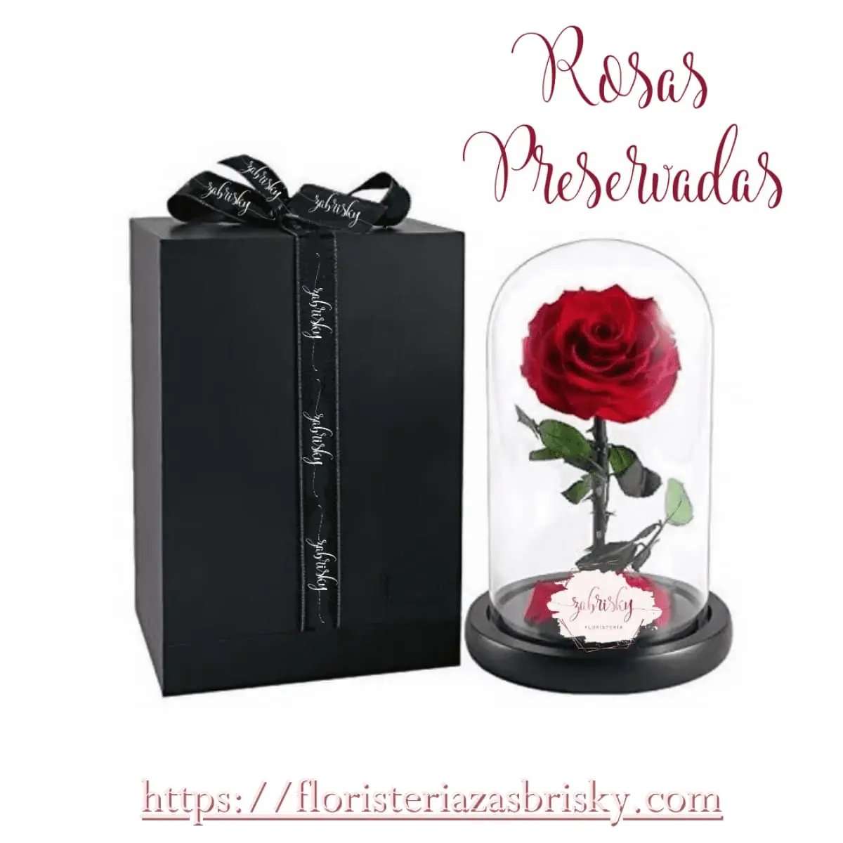 Rosa Preservada en Urna - Floristería Zabrisky