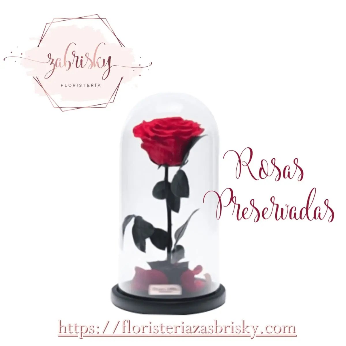 Rosa Preservada en Urna - Floristería Zabrisky