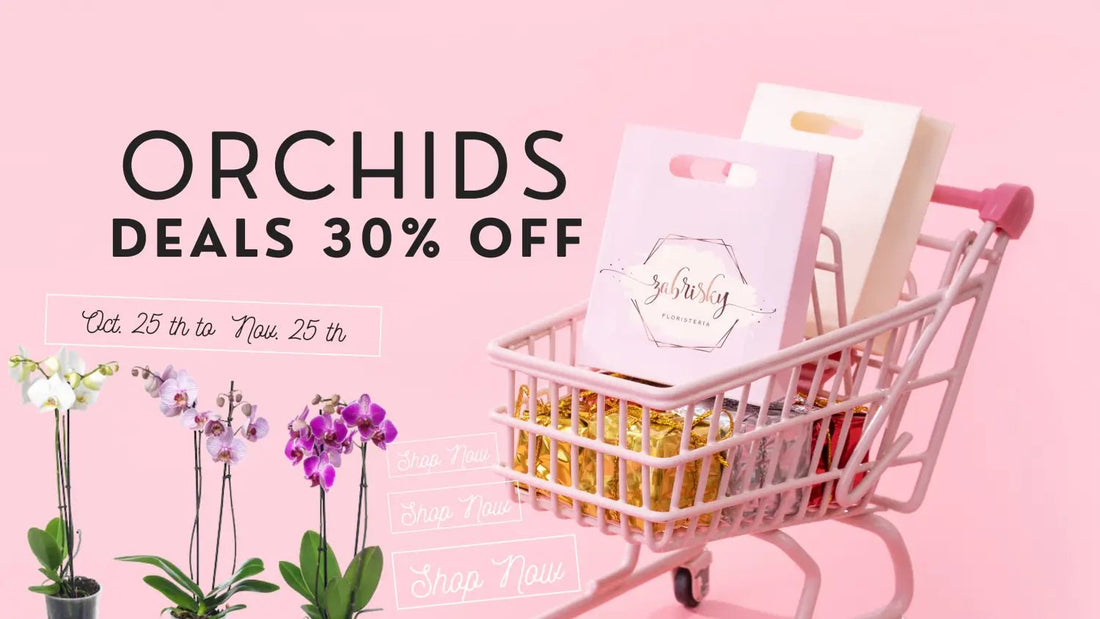 #blackfriday #Orchids #plants #deals #30% off - Floristería Zabrisky