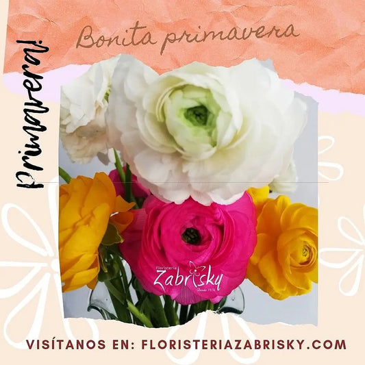 Bonita primavera - Floristería Zabrisky