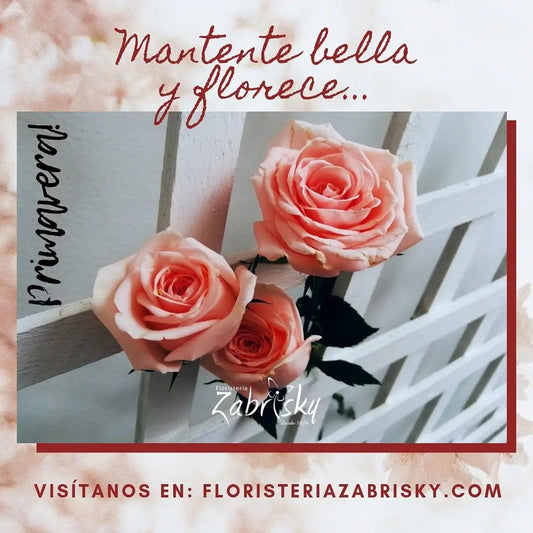 Florece - Floristería Zabrisky