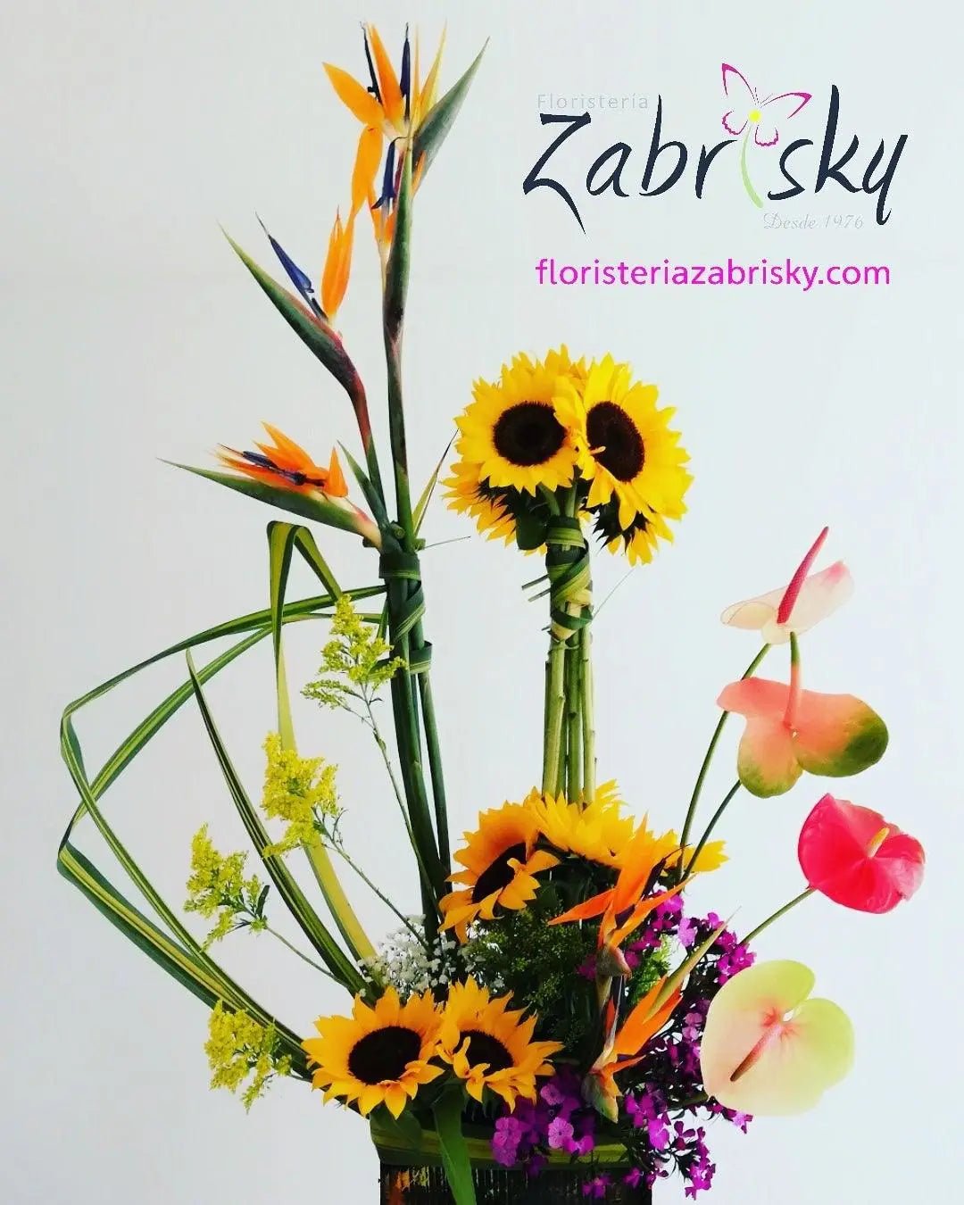 Flowers & sunflowers - Floristería Zabrisky