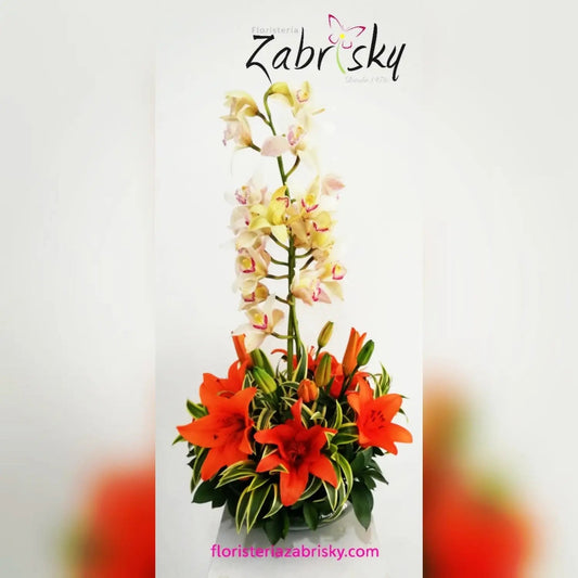 Orchid - Floristería Zabrisky