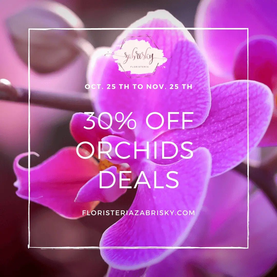 #Orchids #plants #deals 30% off #blackfriday - #Florist in #Pereira - Floristería Zabrisky