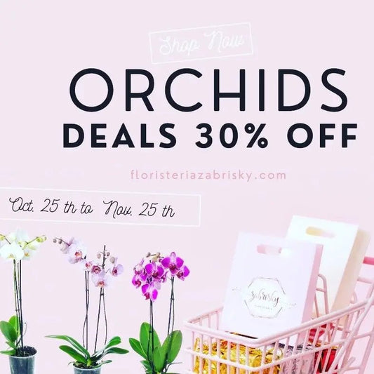 #Orchids #plants #deals #30% off (Terms and Conditions apply) - Floristería Zabrisky
