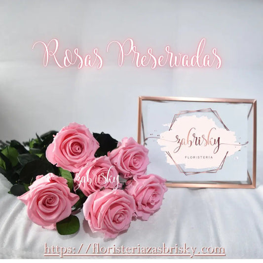 Rosas Preservadas - Floristerías en Pereira - Floristería Zabrisky