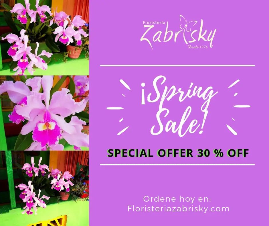 Spring Sale - Floristería Zabrisky