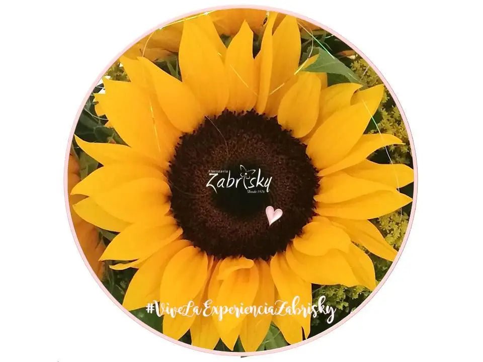 Sunflowers - Floristería Zabrisky