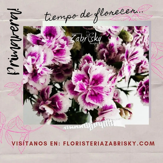 Tiempo de florecer... - Floristería Zabrisky