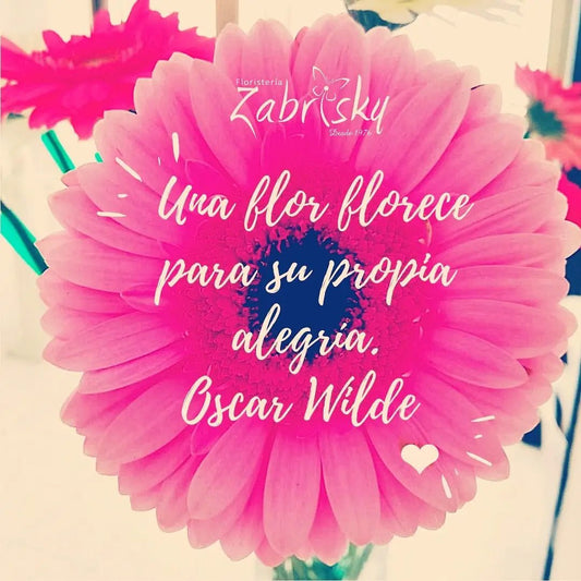 "Una flor florece para su propia alegría" - Floristería Zabrisky