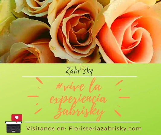 Visítanos en Floristeriazabrisky.com - Floristería Zabrisky