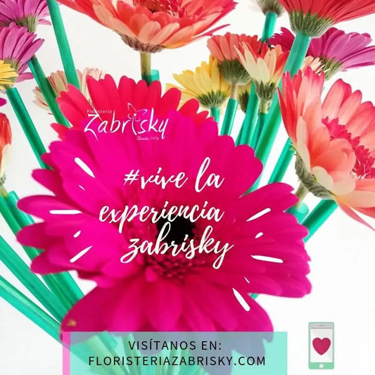 Zabrisky - Floristería Zabrisky